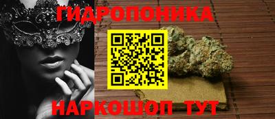 спайс Тара