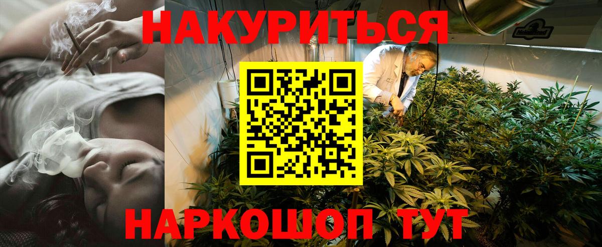 Наро-Фоминск  Каннабис планчик  Вход с VPN  Конопля Bruce Banner 